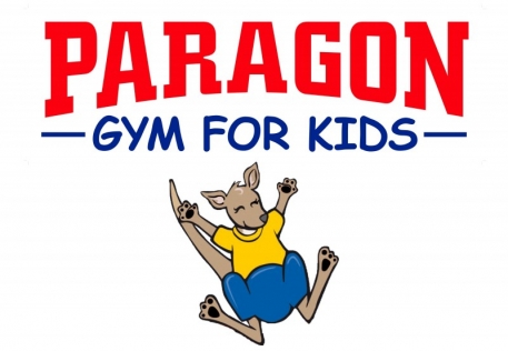 Paragon Gym for Kids of Fredericskburg, VA slider image