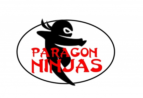 Paragon Gym for Kids of Fredericskburg, VA slider image