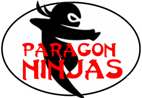 Paragon Gym for Kids of Fredericskburg, VA slider image