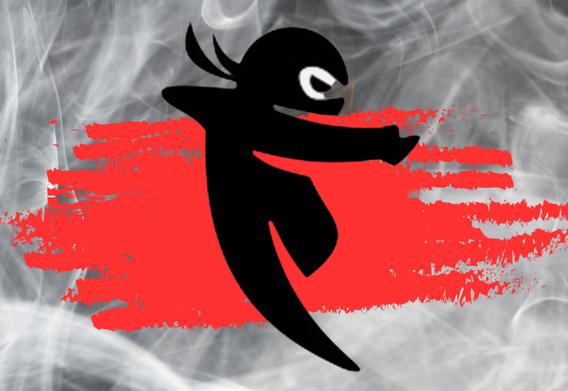 2024 Summer Ninja Camp Now Registering Paragon Gym for Kids